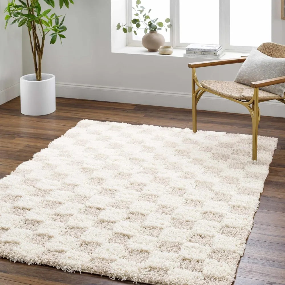 Contemporary Checkered Area Rug