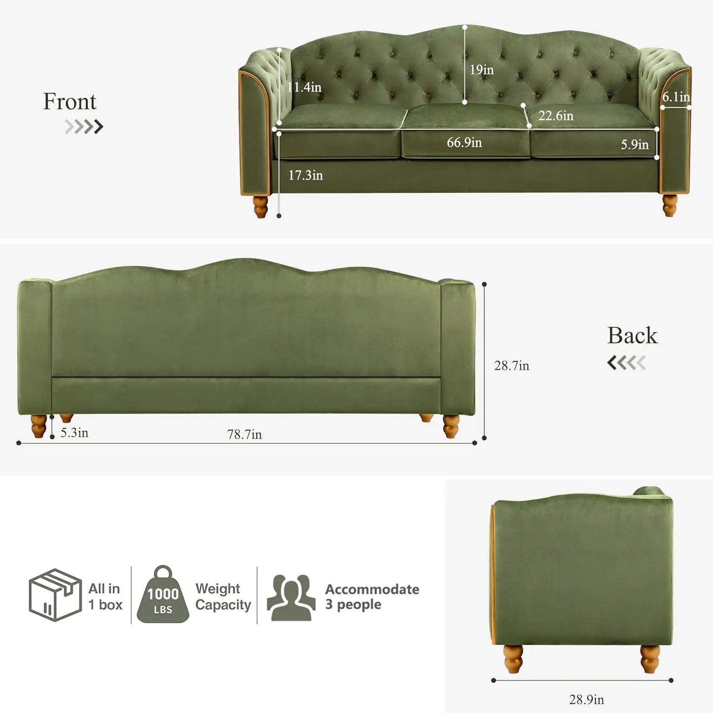 Tufted Sofa with Gold Trim