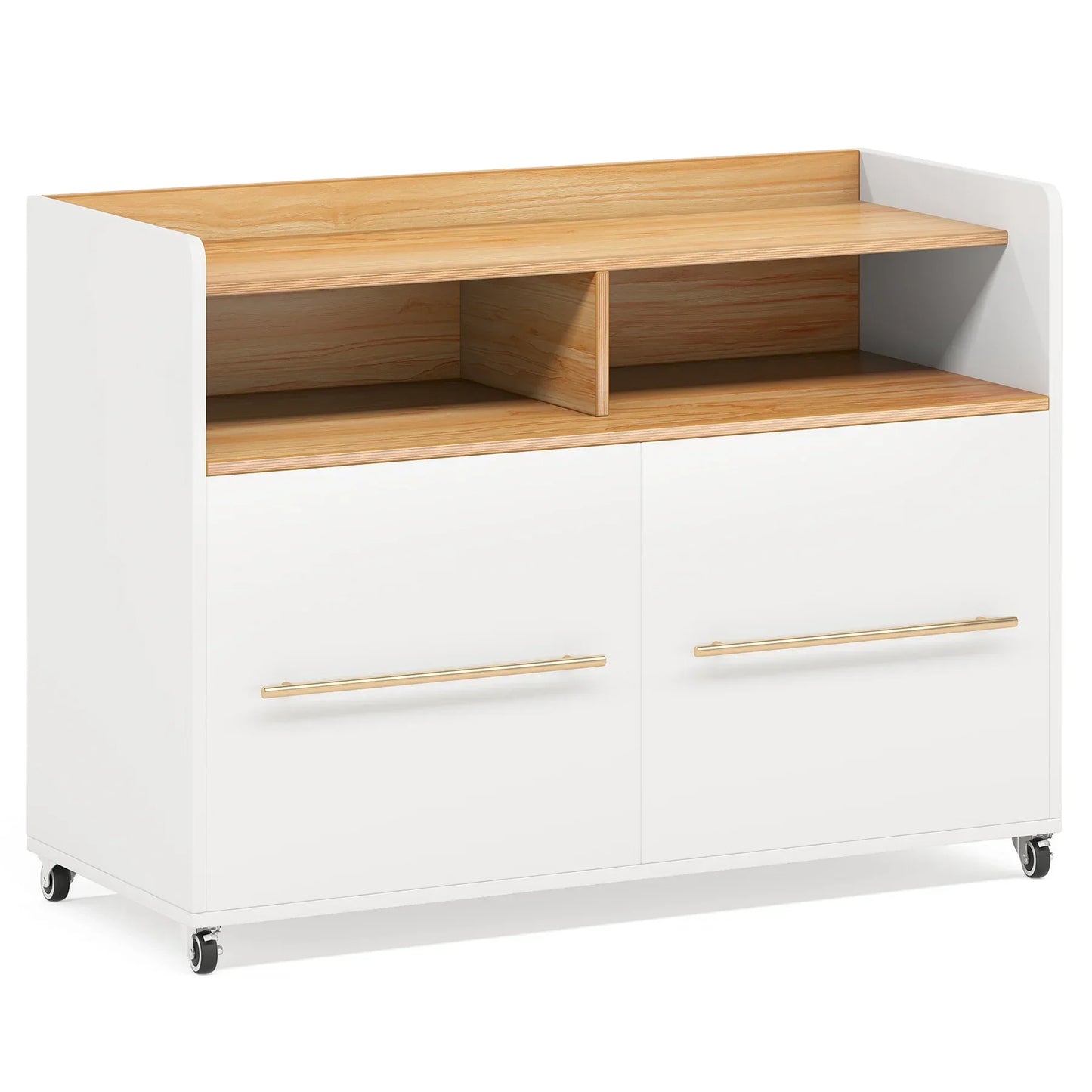 2-Drawer File Cabinet