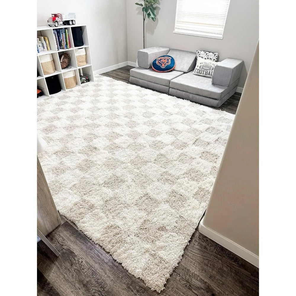 Contemporary Checkered Area Rug