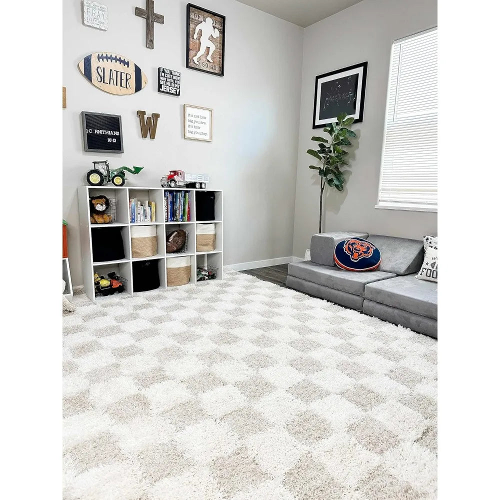 Contemporary Checkered Area Rug